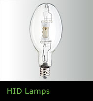 HID Lamps